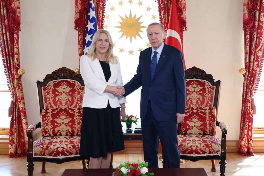 Cvijanovic i Erdogan