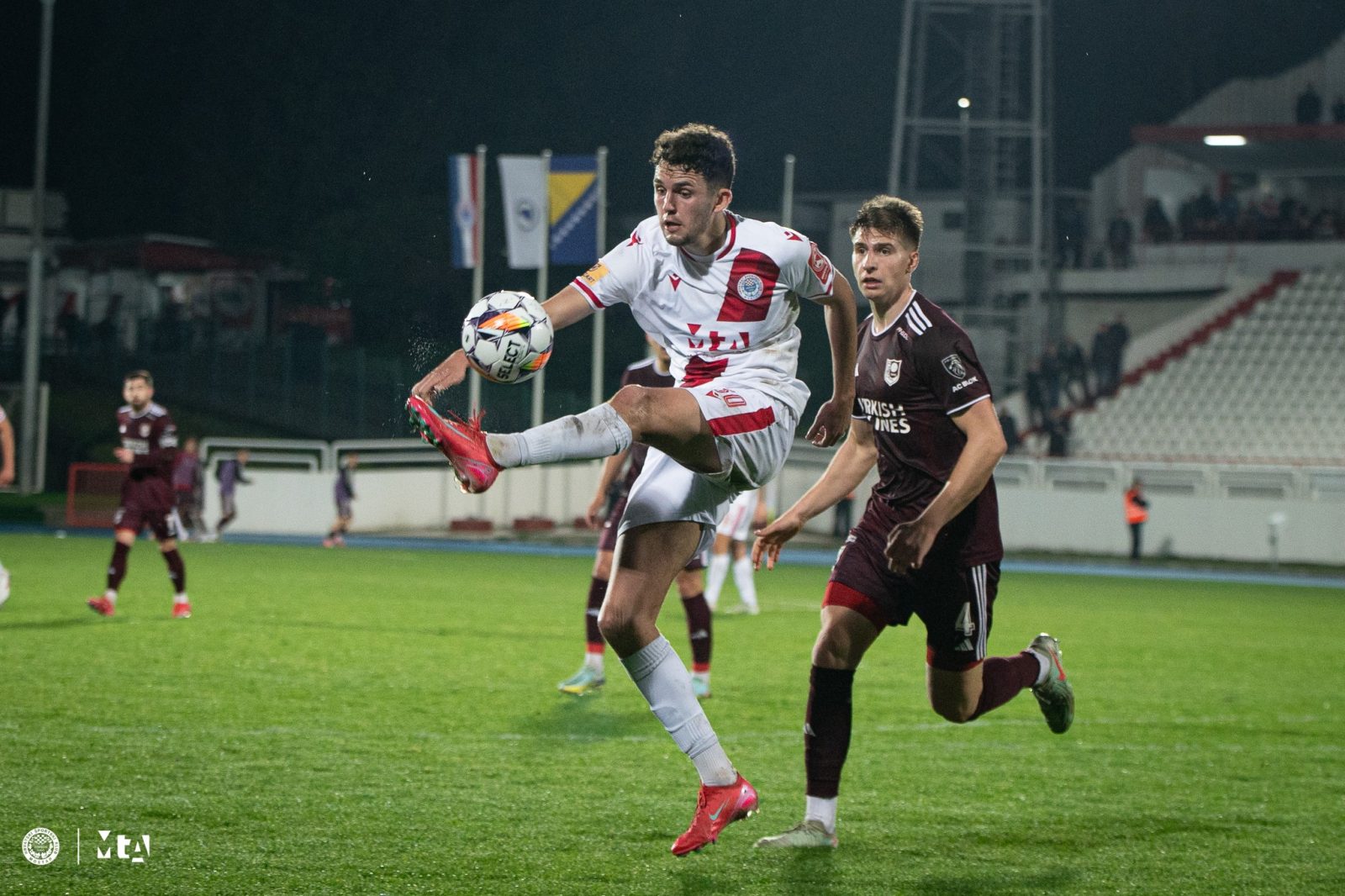 Fran Topić