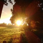 Jutro sunce