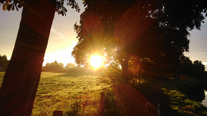 Jutro sunce