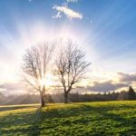 Jutro, sunce