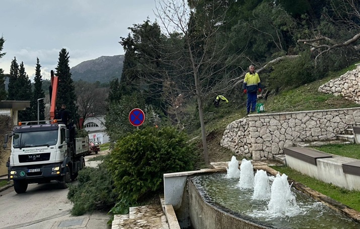 Uređenje šume kod SCM / Foto: Facebook SCM