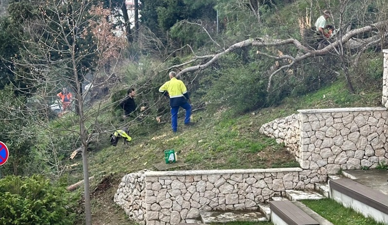 Uređenje šume kod SCM / Foto: Facebook SCM