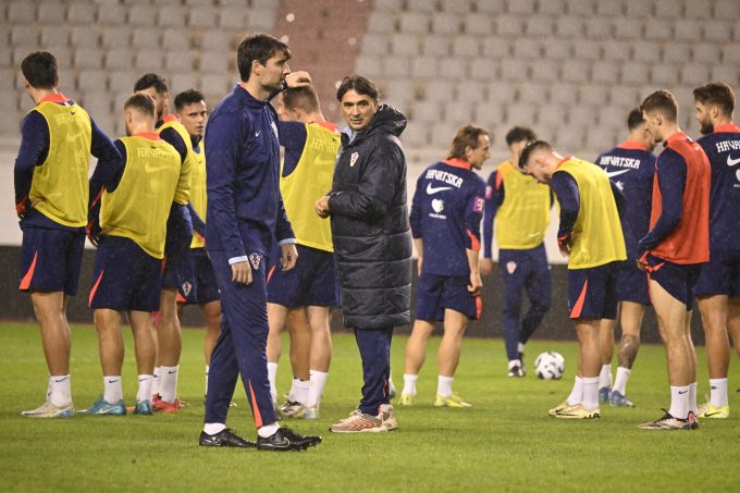 Vedran Ćorluka