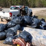 Akcija čišćenja / Foto: Fena