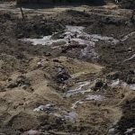 Groblje životinja u Mađarskoj Foto: YouTube/Screenshot