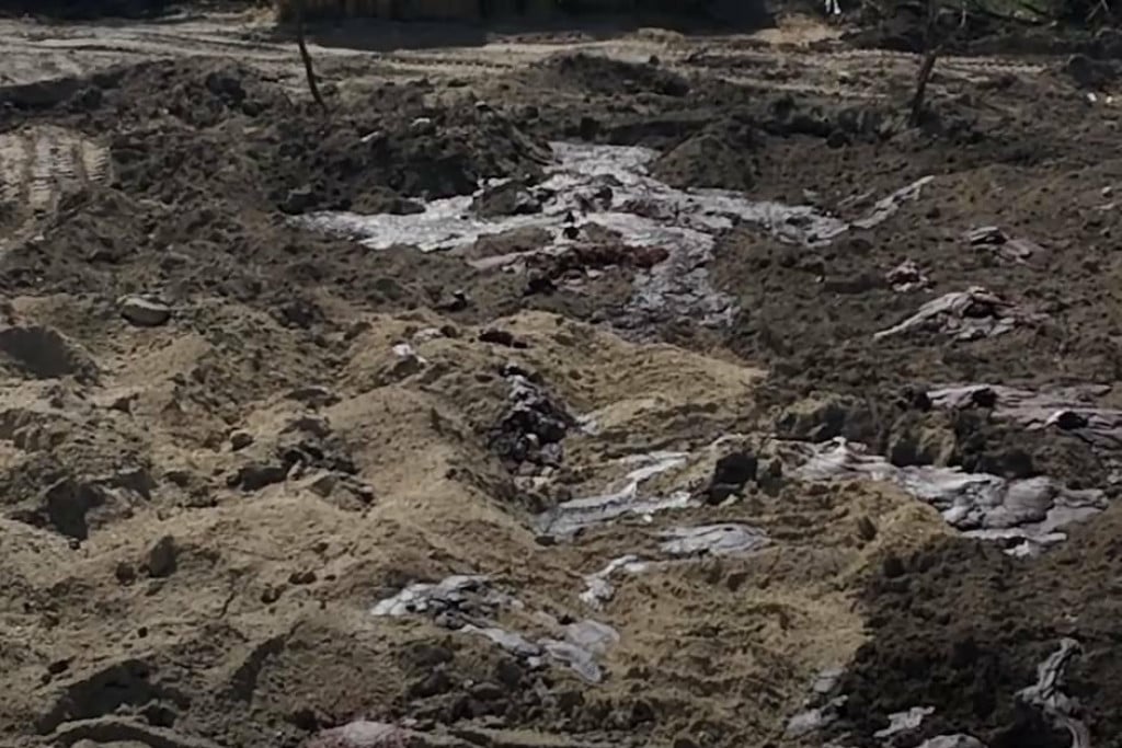 Groblje životinja u Mađarskoj Foto: YouTube/Screenshot