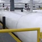 Plin / Foto Screenshot