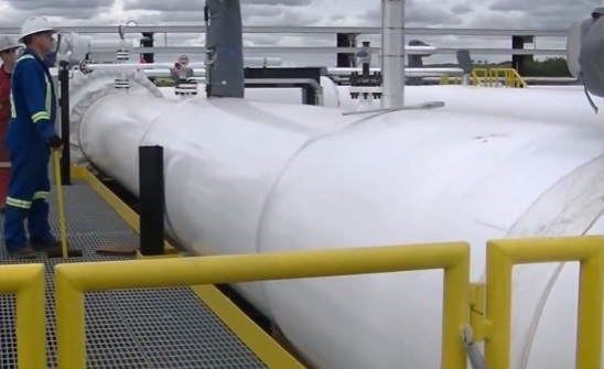 Plin / Foto Screenshot