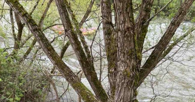 Vrbas / Foto: Radio Donji Vakuf