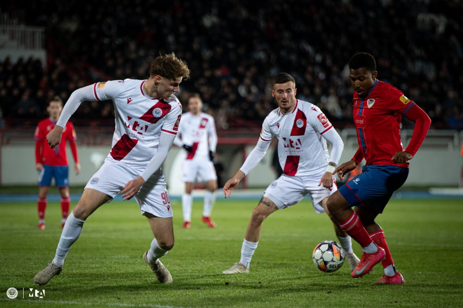 Majić i Malekinušić