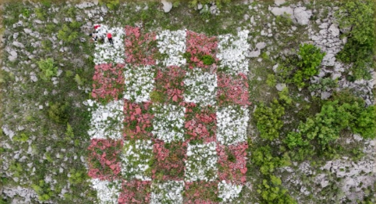 Grb / Foto: Udruga Korektiv