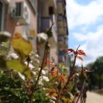 Vremenska prognoza / Foto: Agencija