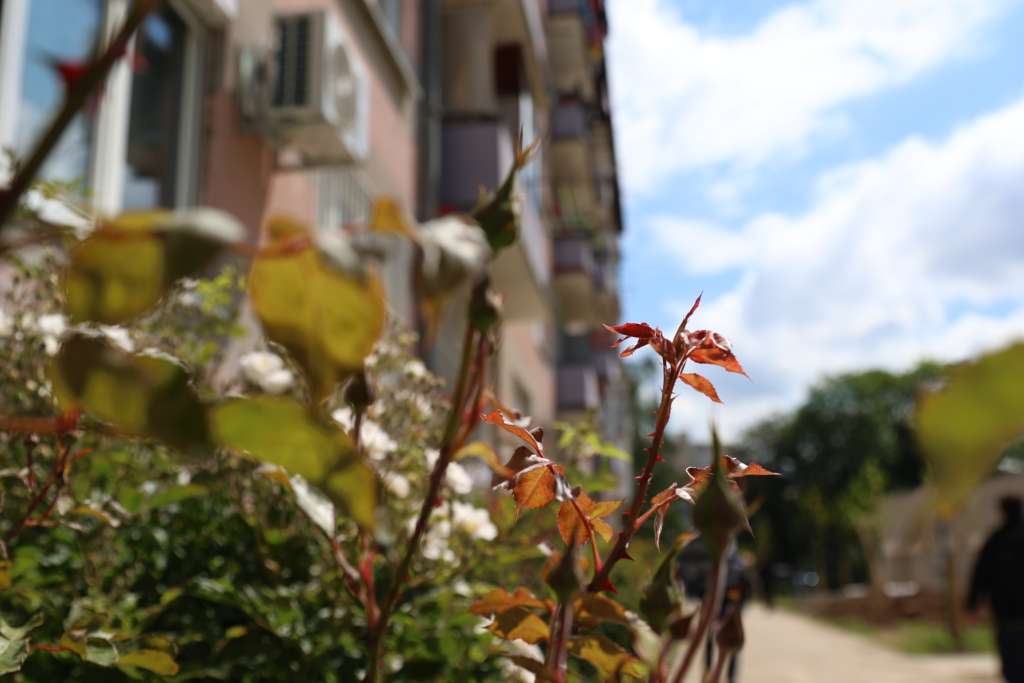 Vremenska prognoza / Foto: Agencija