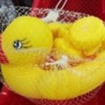 Gumena patka / Foto: Agencija