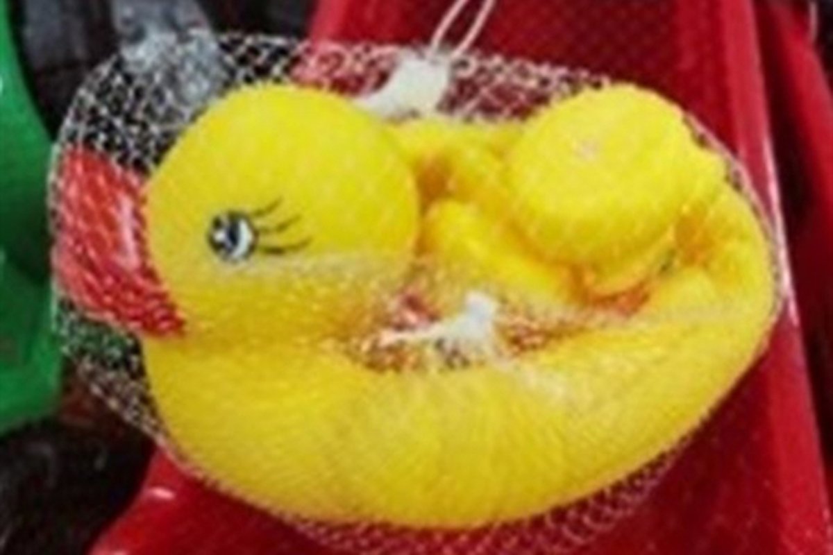 Gumena patka / Foto: Agencija