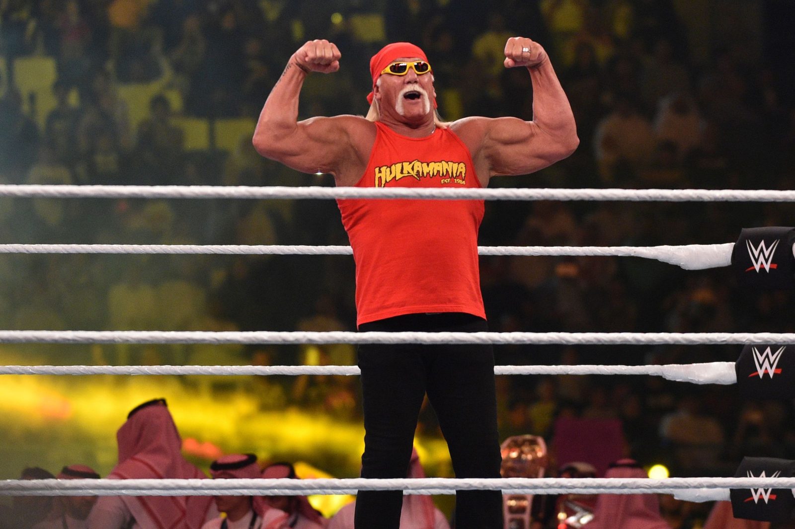 Hulk Hogan