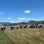 Kosidba / Foto: Fena