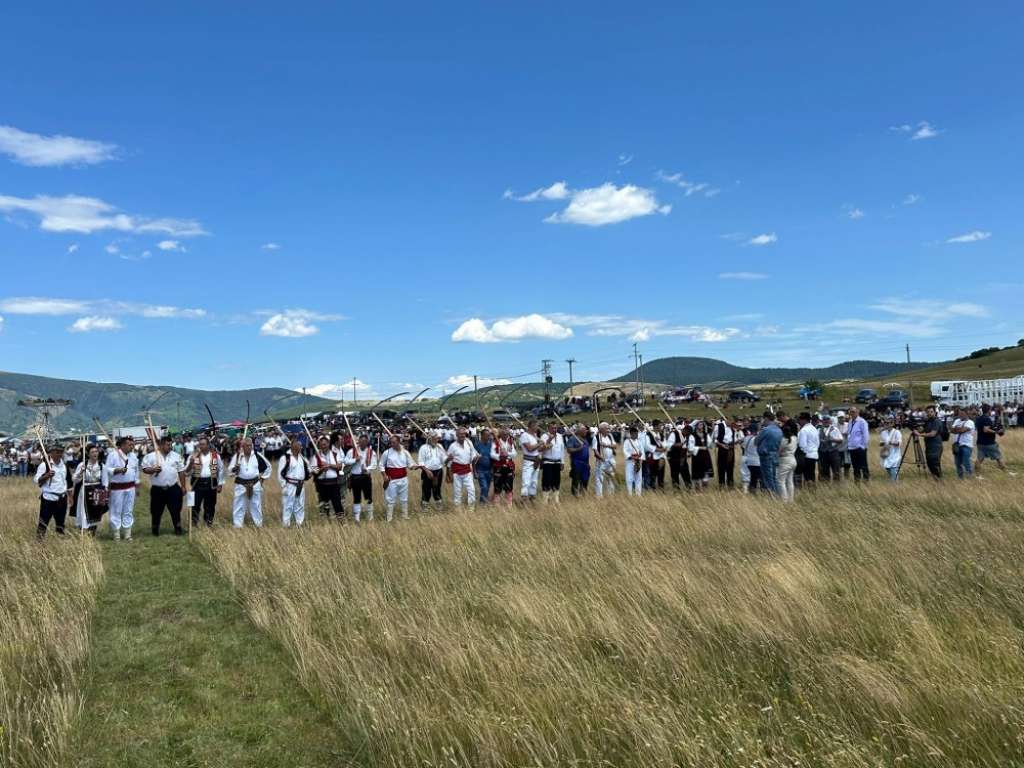 Kosidba / Foto: Fena