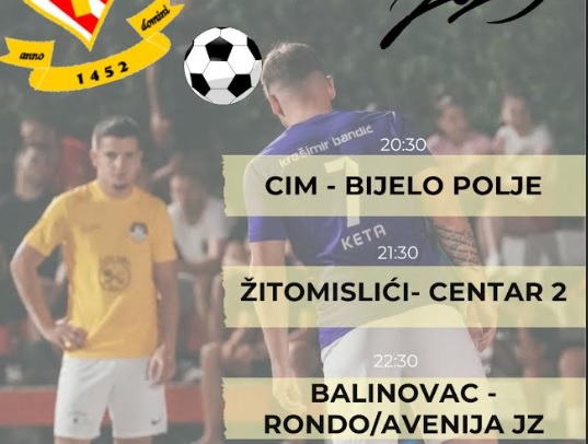 Liga mjesnih zajednica