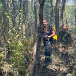 Požar / Foto: Agencija