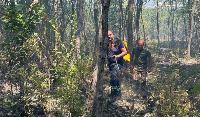 Požar / Foto: Agencija