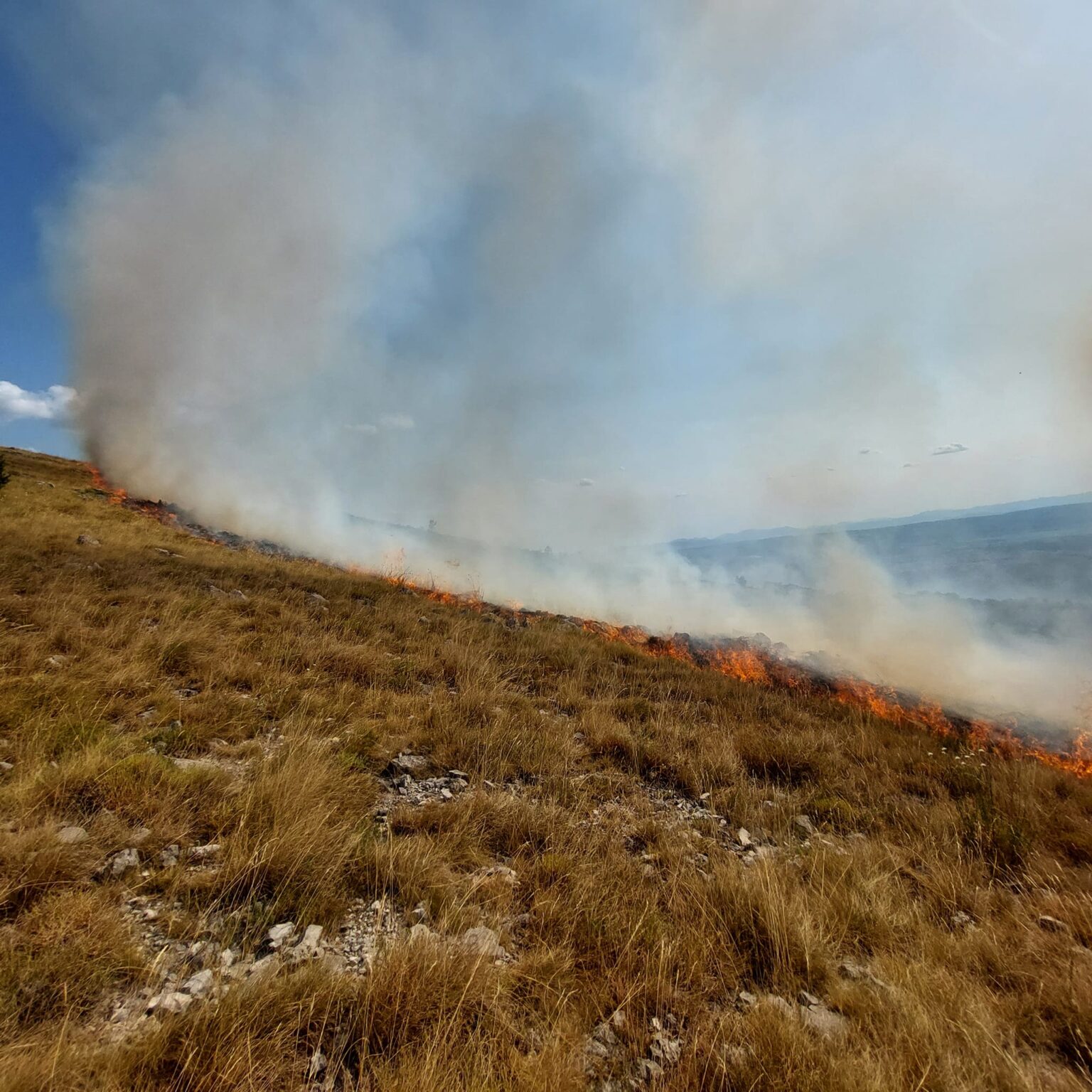Požar (ILUSTRACIJA) / Foto: Agencija