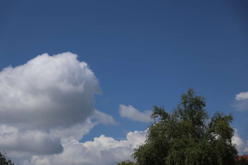 Vremenska prognoza / Foto: Fena