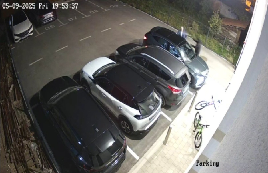 Napad na Borenovića