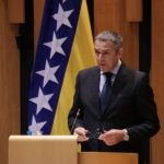 nedzad brankovic