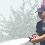 Vatrogasci (ILUSTRACIJA) / Foto: Screenshot