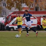 rudar željezničar