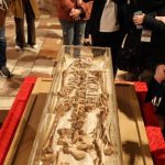 posmrtni ostatci sv. franje