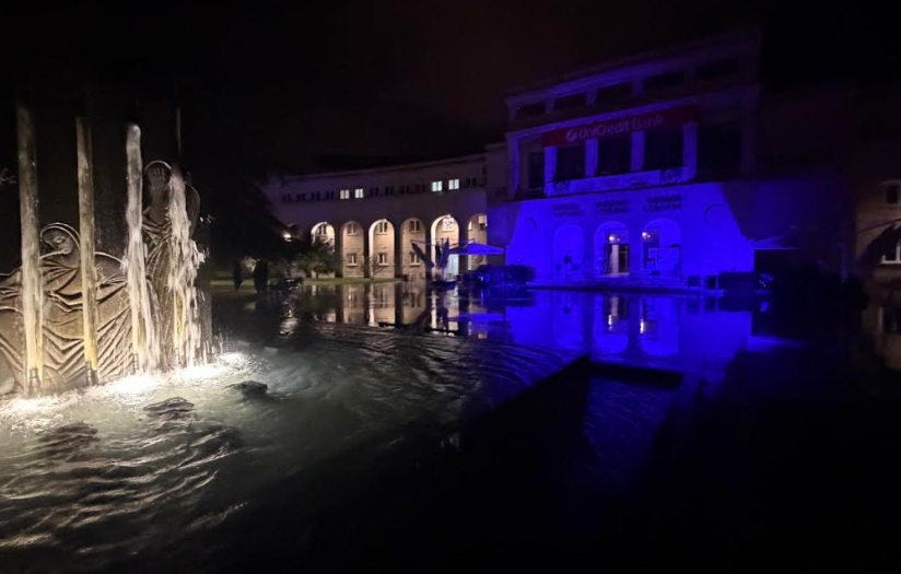 kosača u ljubičastoj boji