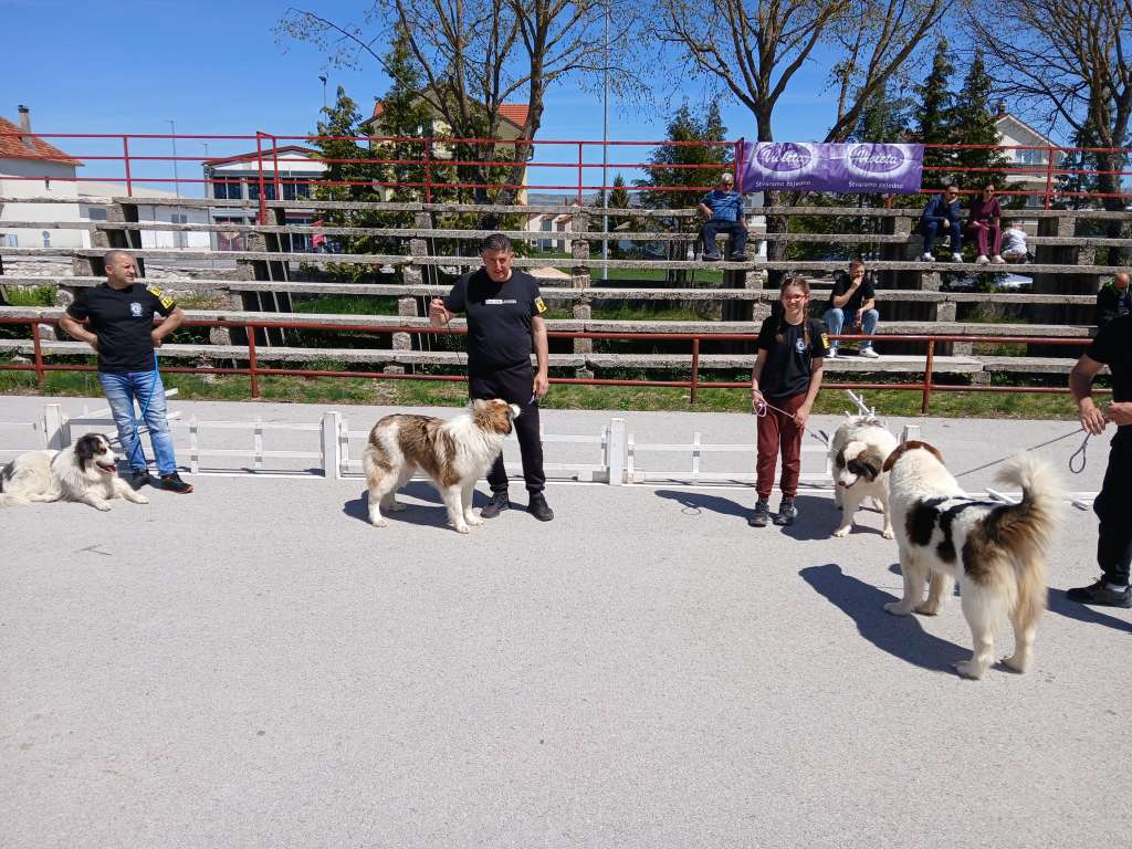 tomislavgrad tornjaci