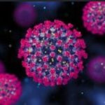 virus
