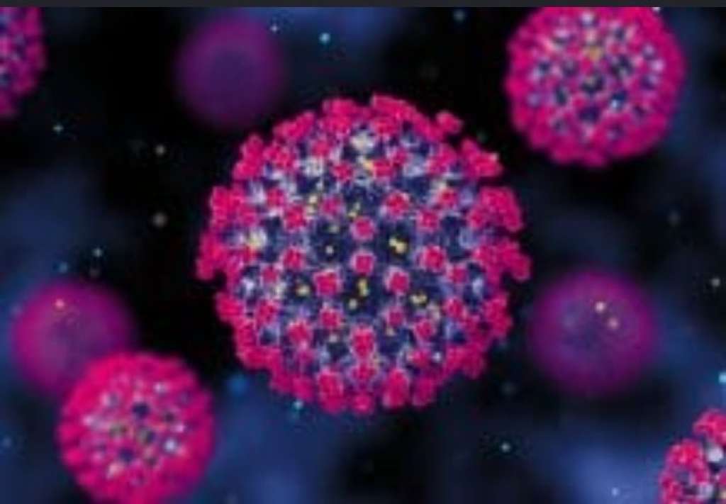 virus