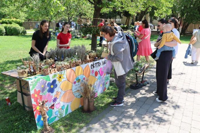 festival cvjeca