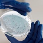 laboratorij