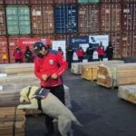 čile kokain