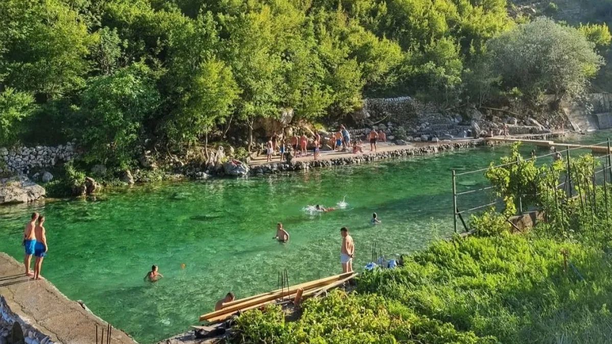 drežnica