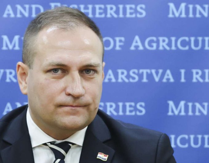 David Vlajčić