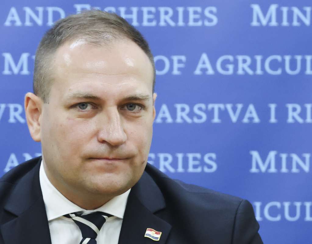 David Vlajčić