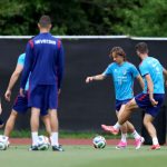 modrić