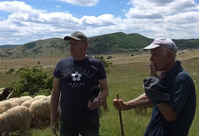 Plaća 2.300 KM, smještaj i hrana: Boro ne može naći čobana u BiH! Plaća 2.300 KM, smještaj i hrana: Boro ne može naći čobana u BiH!