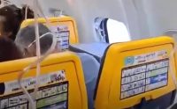 avion