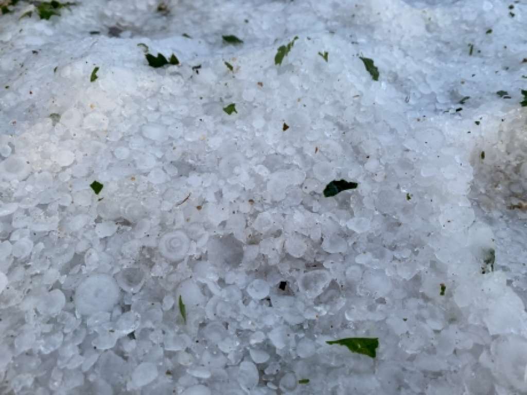 Nevrijeme protutnjalo Hercegovinom: Od Gruda do Stoca padala tuča, stablo blokiralo cestu M17 Nevrijeme protutnjalo Hercegovinom: Od Gruda do Stoca padala tuča, stablo blokiralo cestu M17