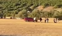 bileća napad