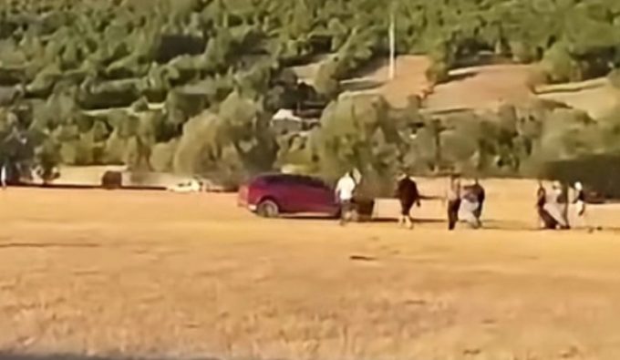 bileća napad