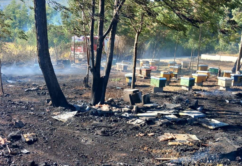 Katastrofa kod Ljubuškog: Požar uništio 43 pčelinje zajednice Katastrofa kod Ljubuškog: Požar uništio 43 pčelinje zajednice